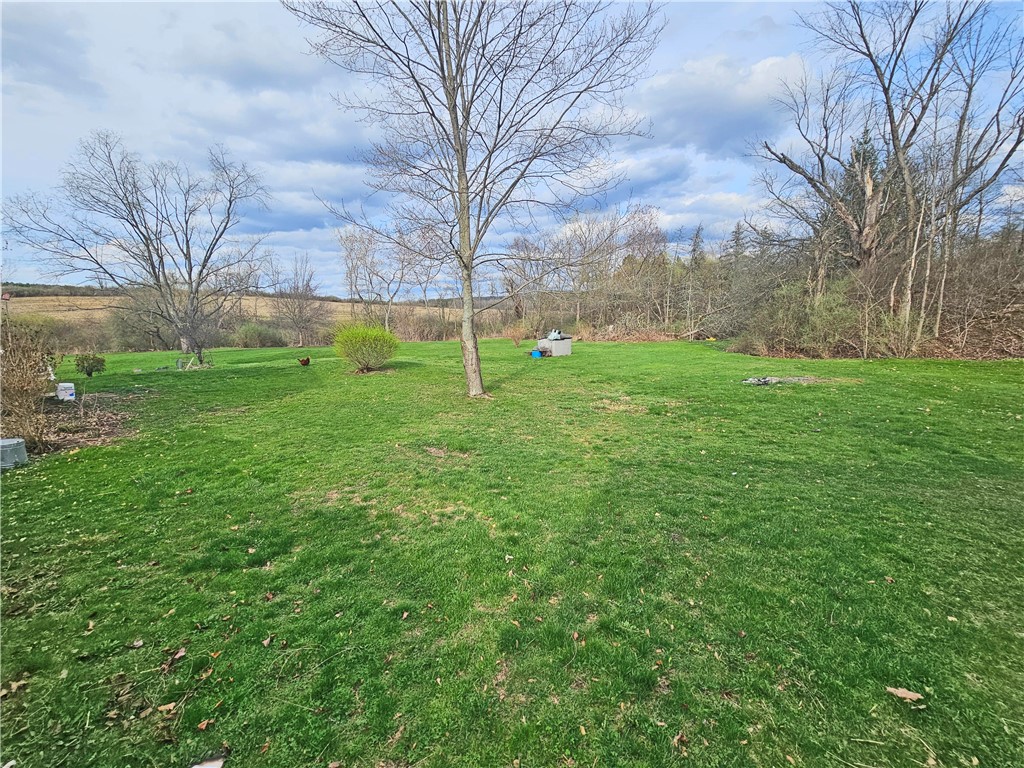 114 Terry Hill Road Veteran, NY 14845 - Photo 10 of 26