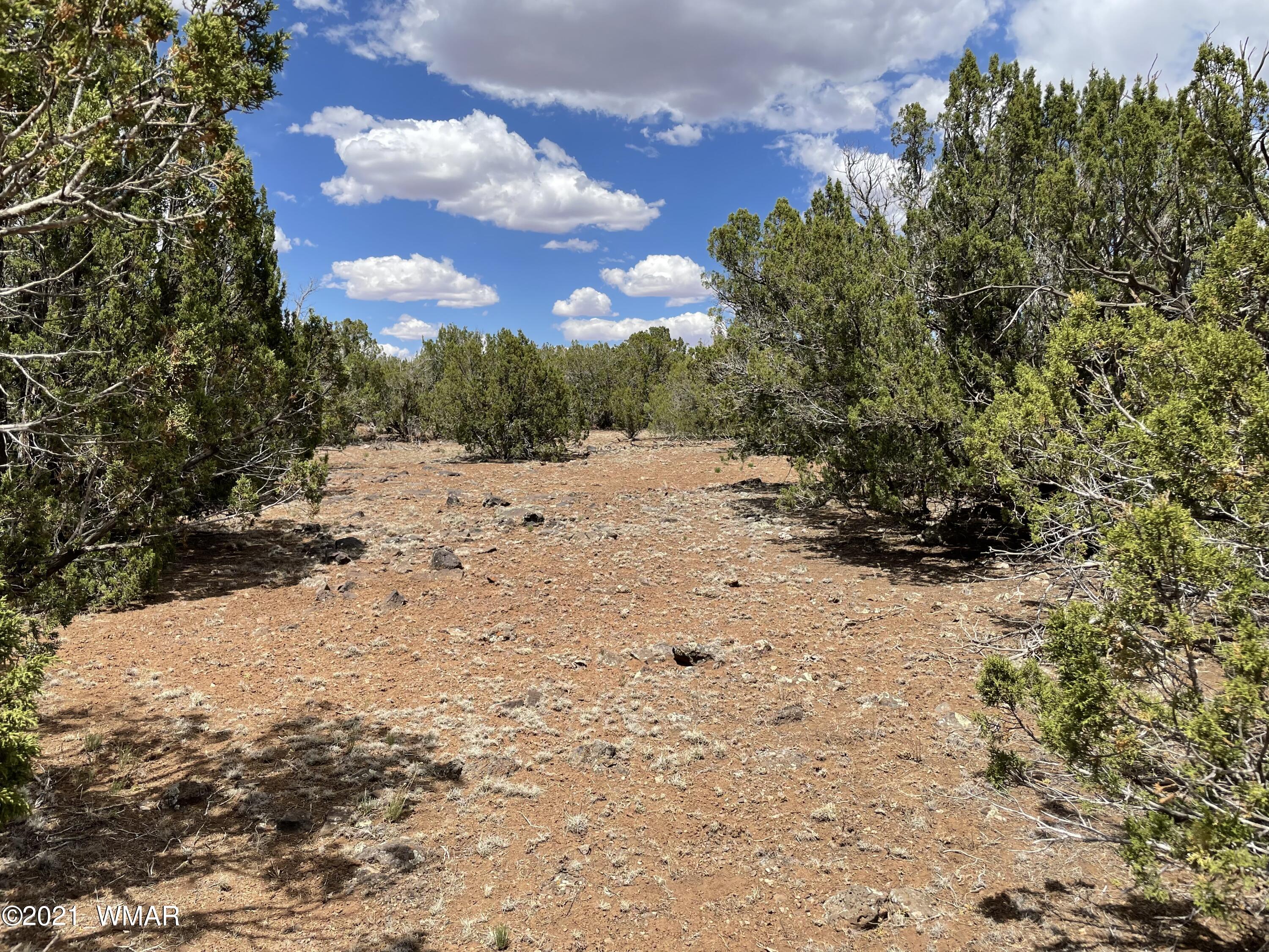 1575 Kb Ranch Road Show Low, AZ 85901 - Photo 11 of 15 Gallery Image 11