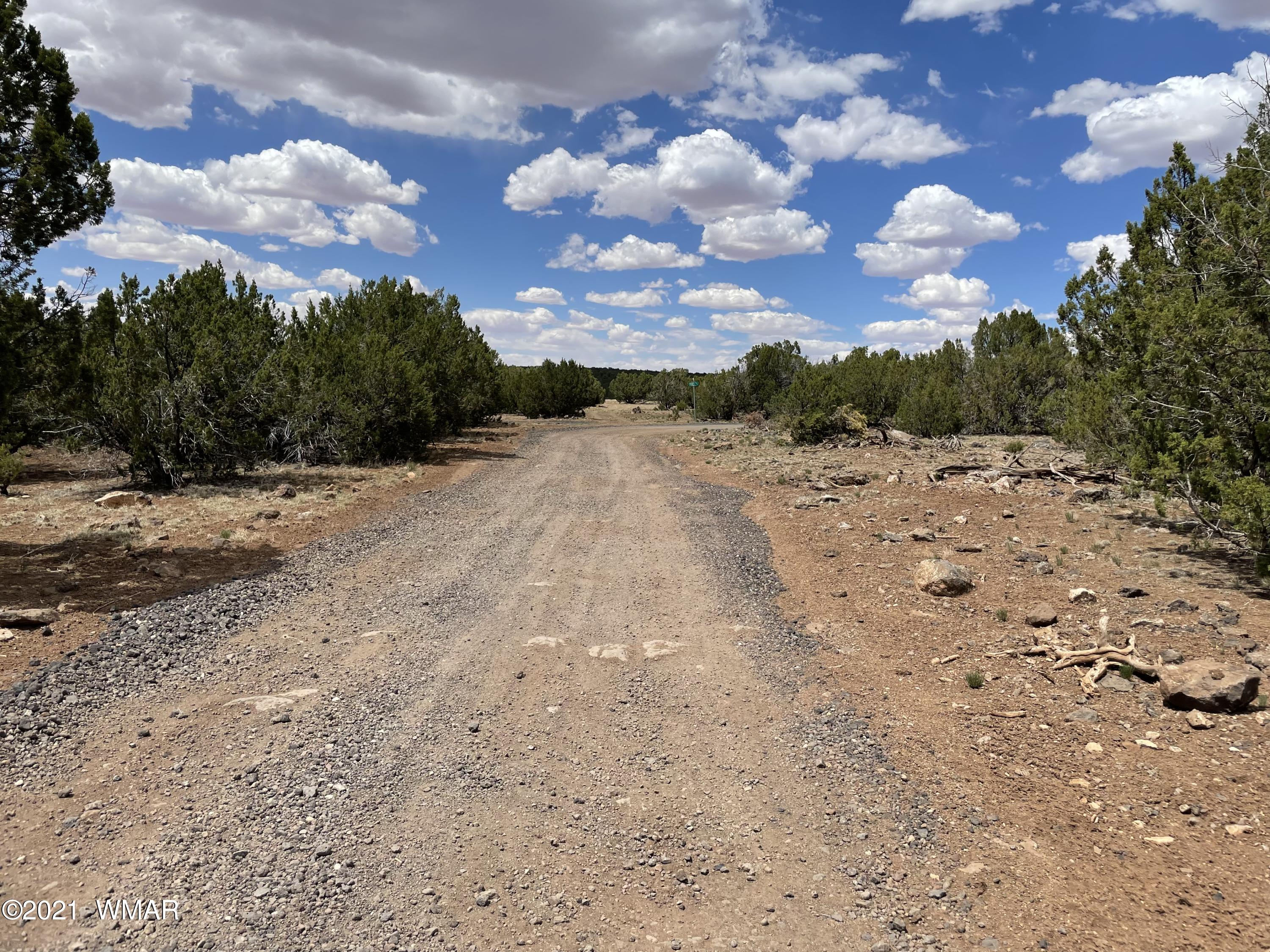 1575 Kb Ranch Road Show Low, AZ 85901 - Photo 13 of 15 Gallery Image 13