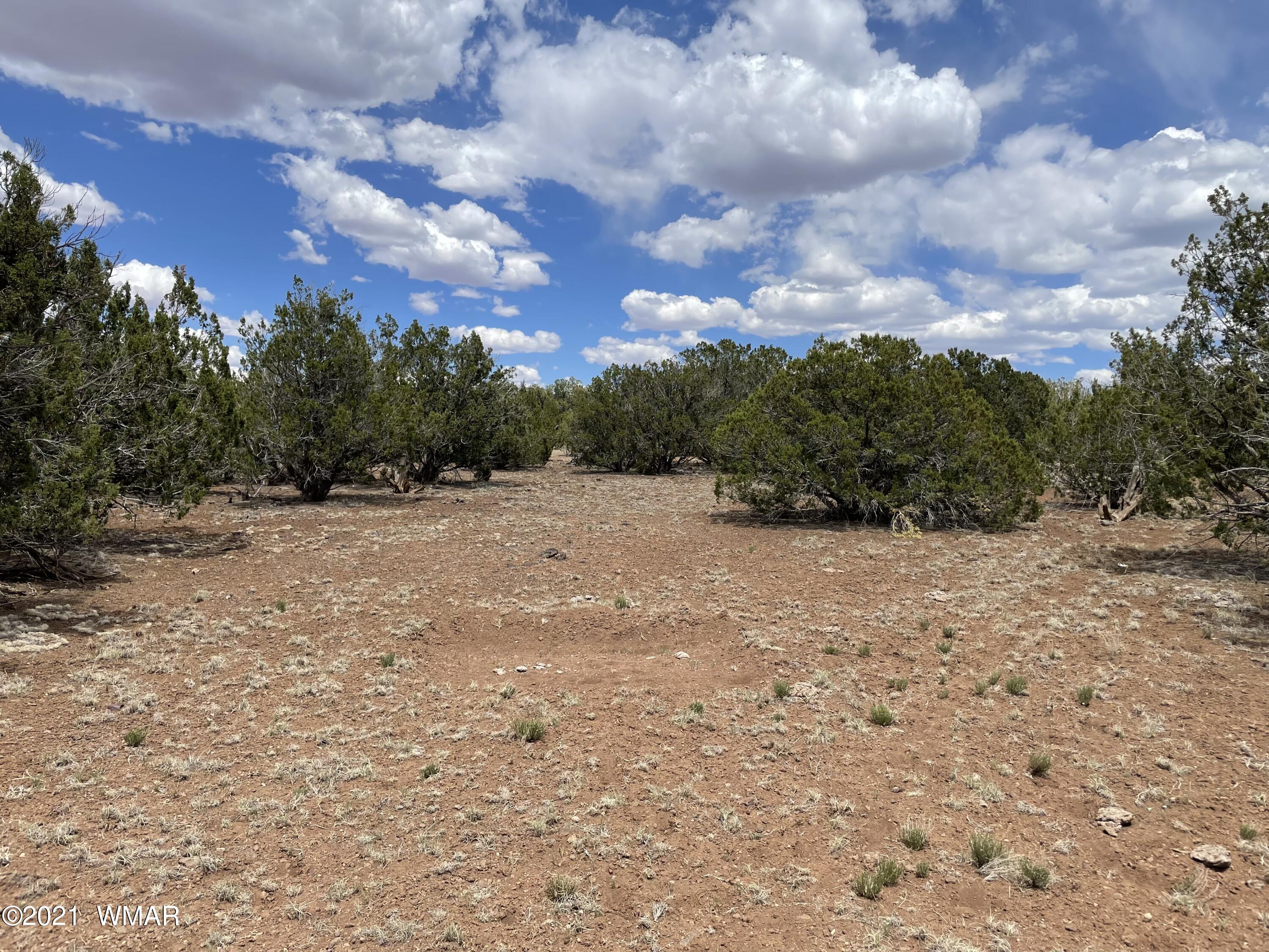 1575 Kb Ranch Road Show Low, AZ 85901 - Photo 15 of 15 Gallery Image 15