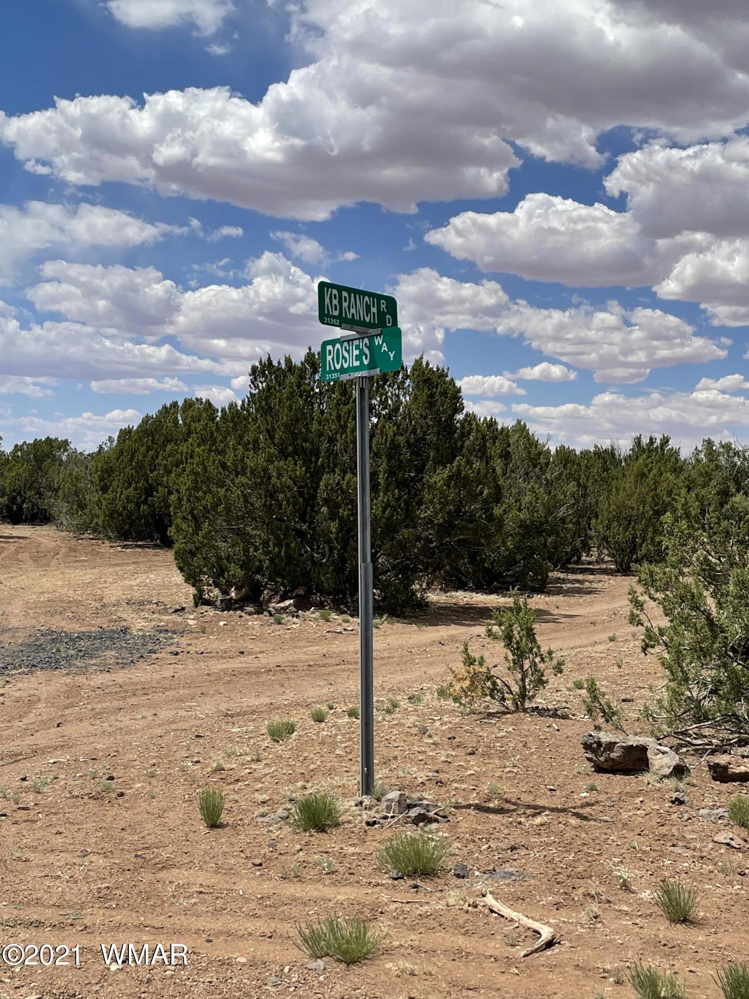 1575 Kb Ranch Road Show Low, AZ 85901 - Photo 2 of 15 Gallery Image 2