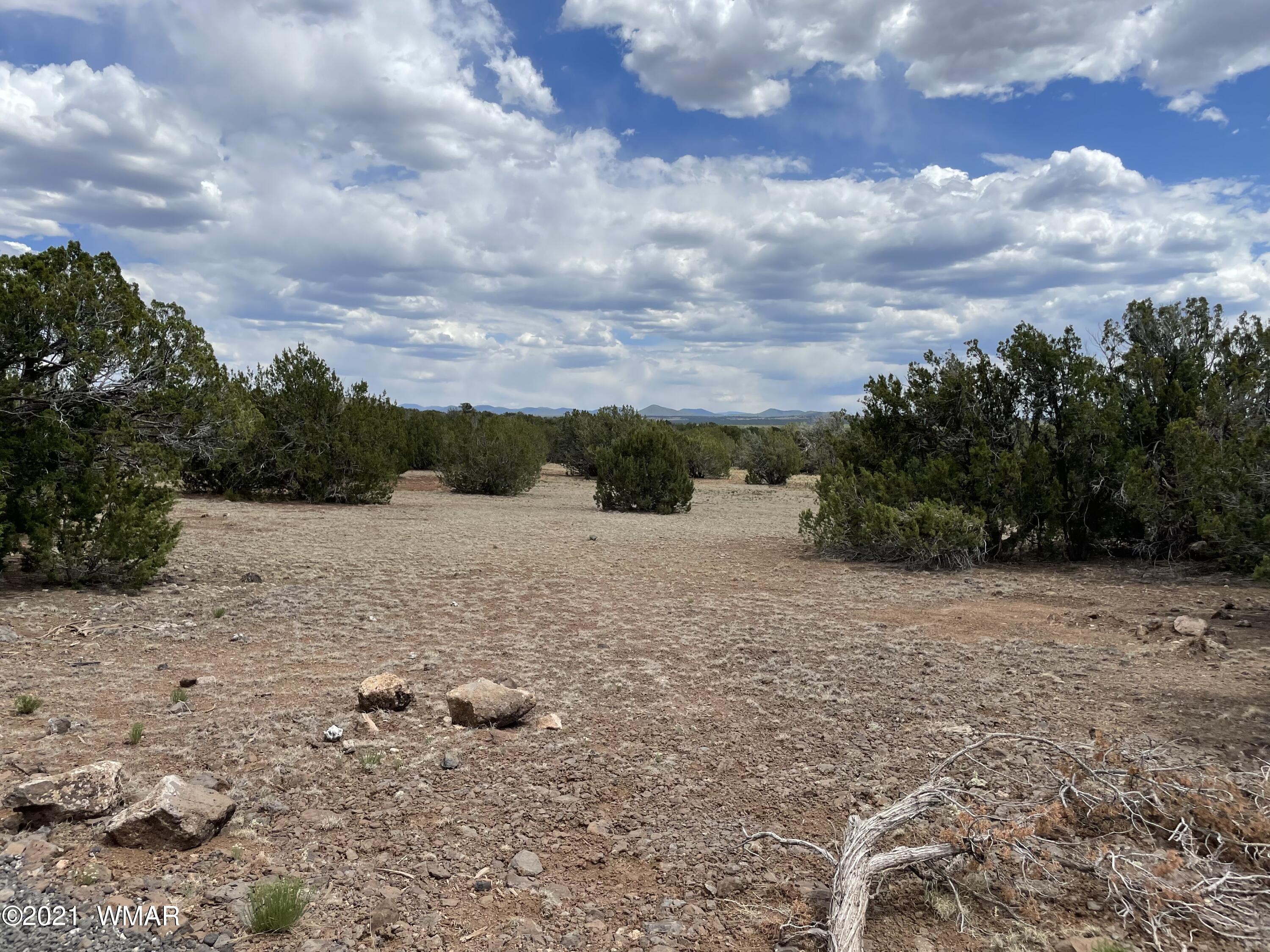 1575 Kb Ranch Road Show Low, AZ 85901 - Photo 3 of 15 Gallery Image 3
