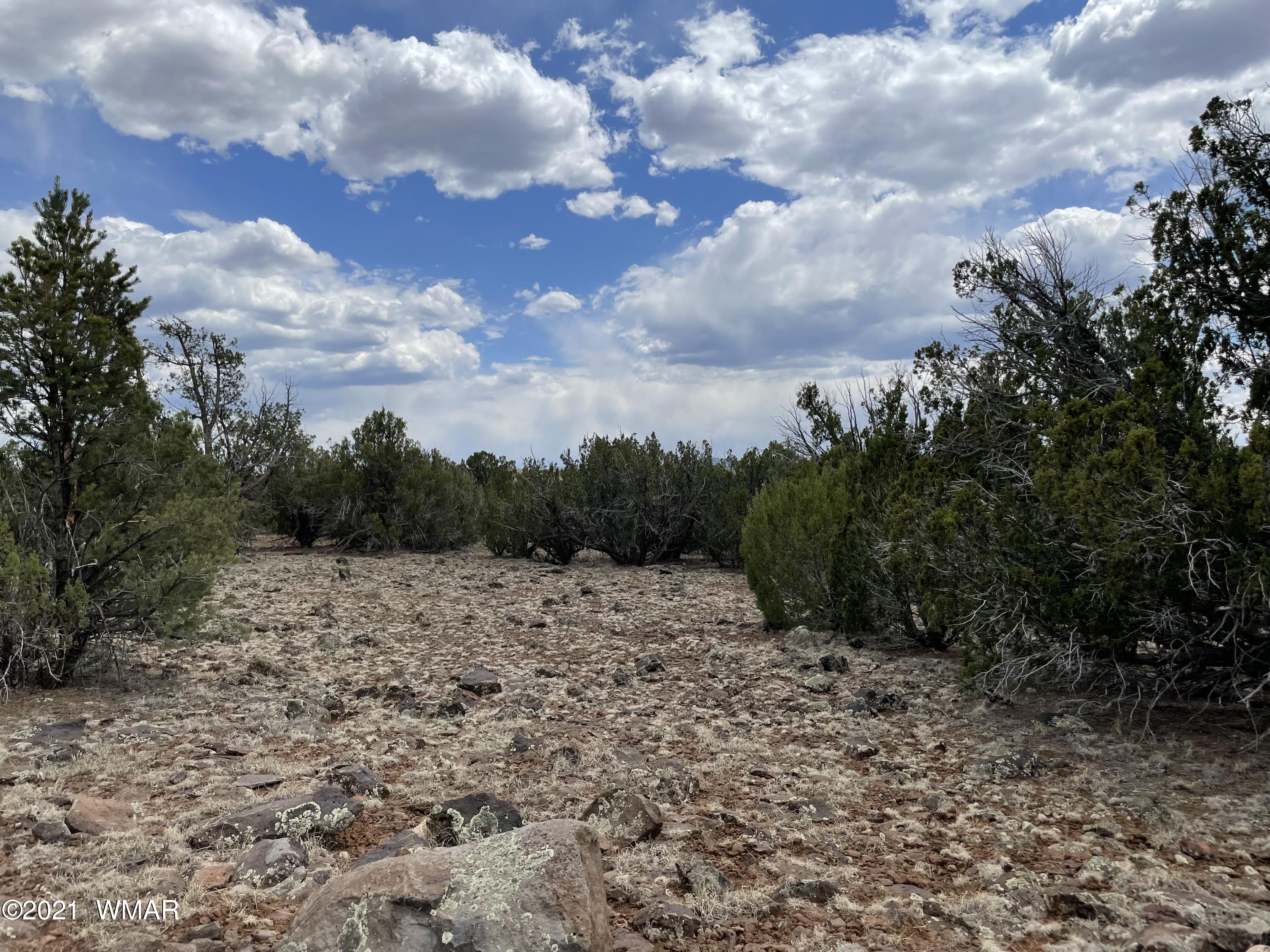 1575 Kb Ranch Road Show Low, AZ 85901 - Photo 5 of 15 Gallery Image 5