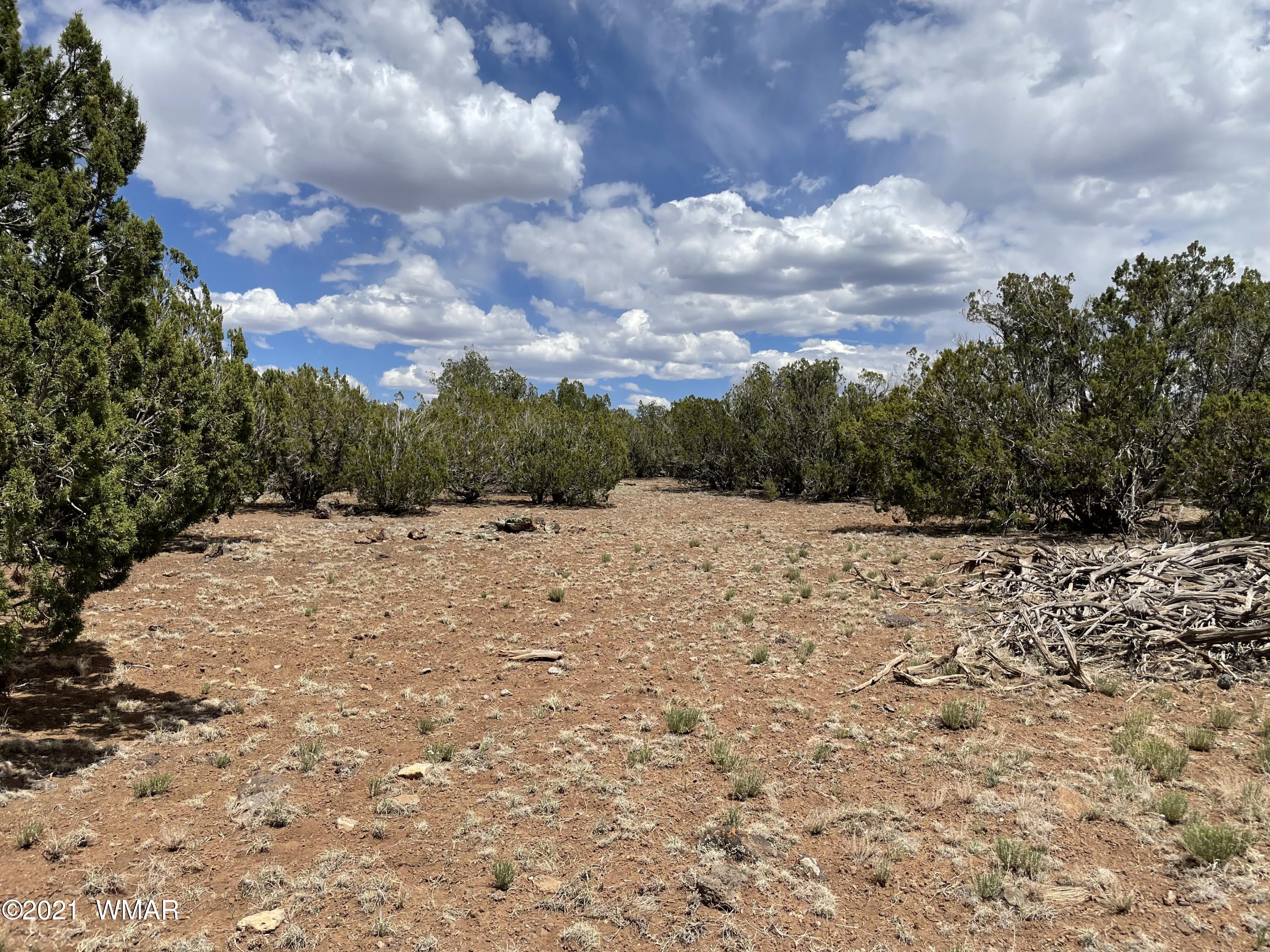 1575 Kb Ranch Road Show Low, AZ 85901 - Photo 9 of 15 Gallery Image 9