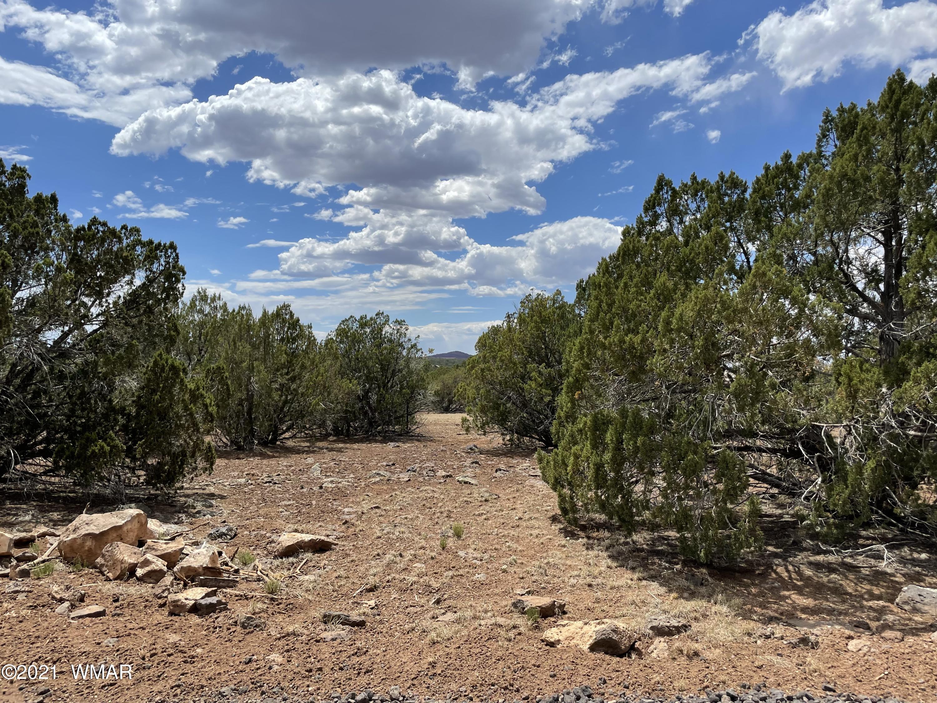 1575 Kb Ranch Road Show Low, AZ 85901 - Photo 10 of 15 Gallery Image 10