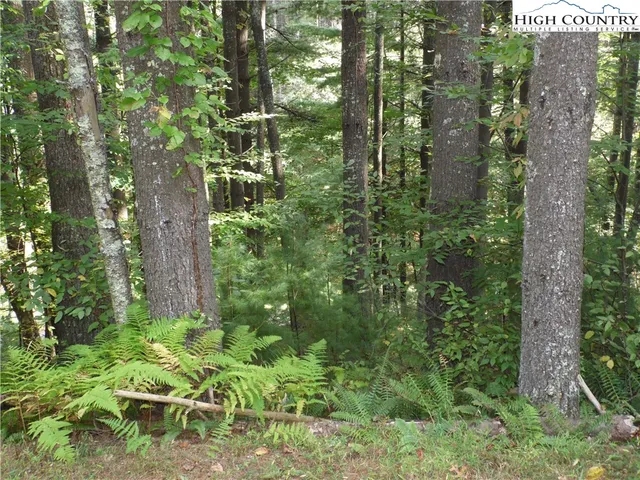 a backyard of a building with lots of green space