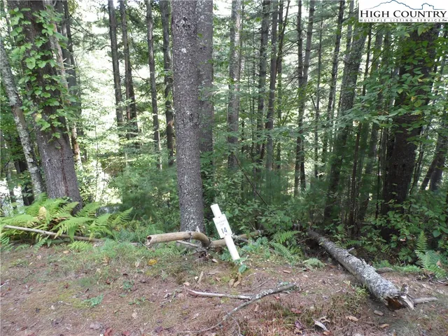 a backyard of a house with lots of green space and fountain