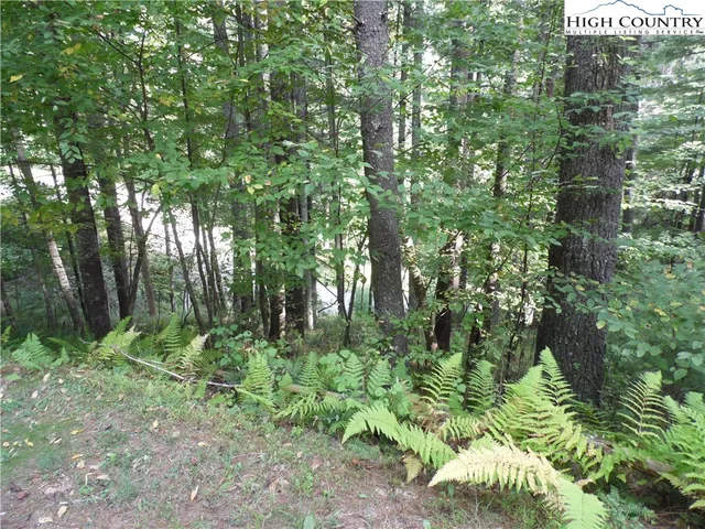 a view of a volley ball court