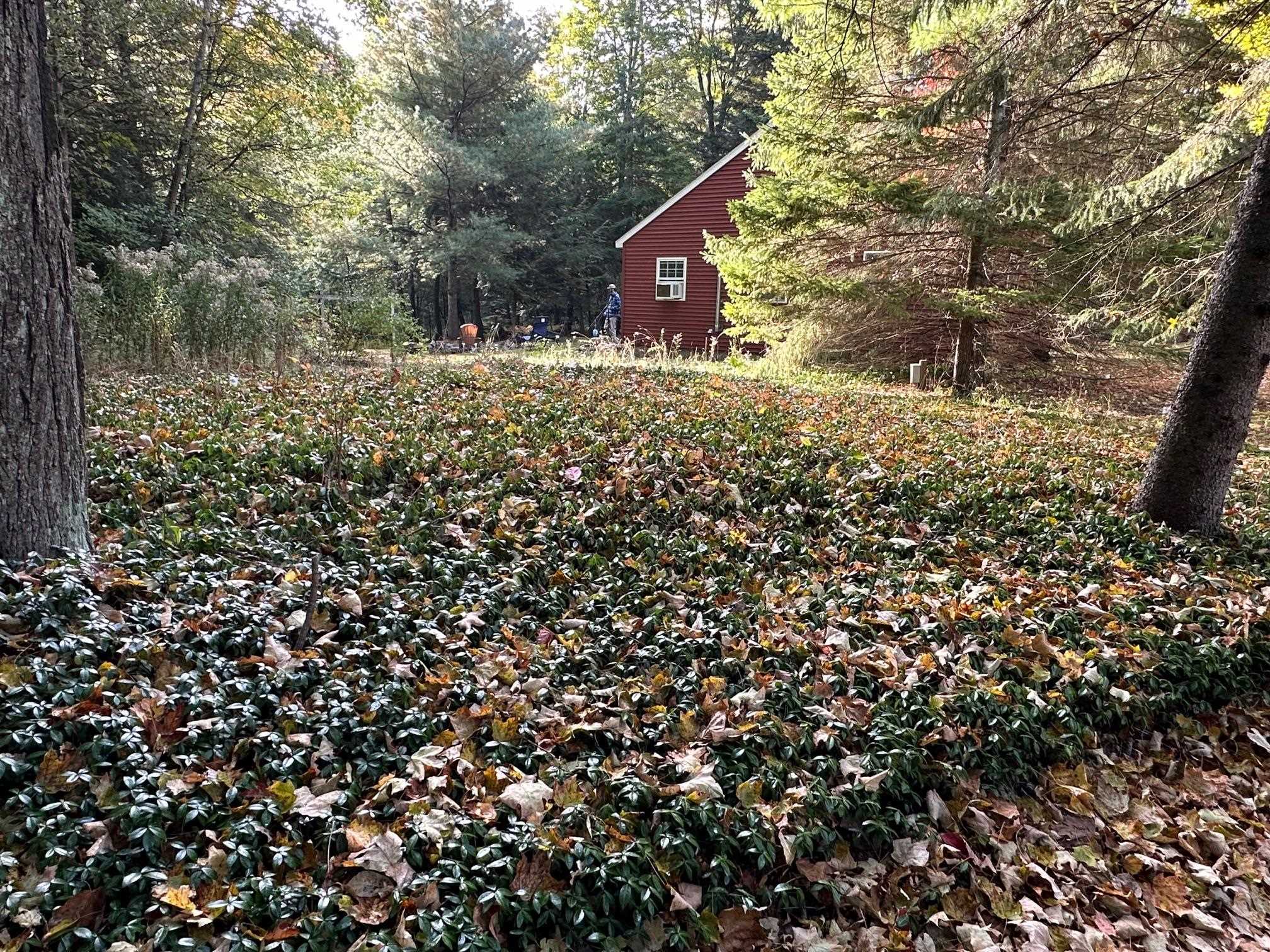 5642 Cedar Valley Road Traverse City, MI 49684 - Photo 28 of 37
