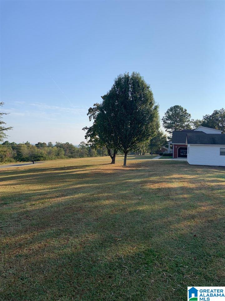 505 Overlook Road Boaz, AL 35956 - Photo 5 of 35 Gallery Image 5