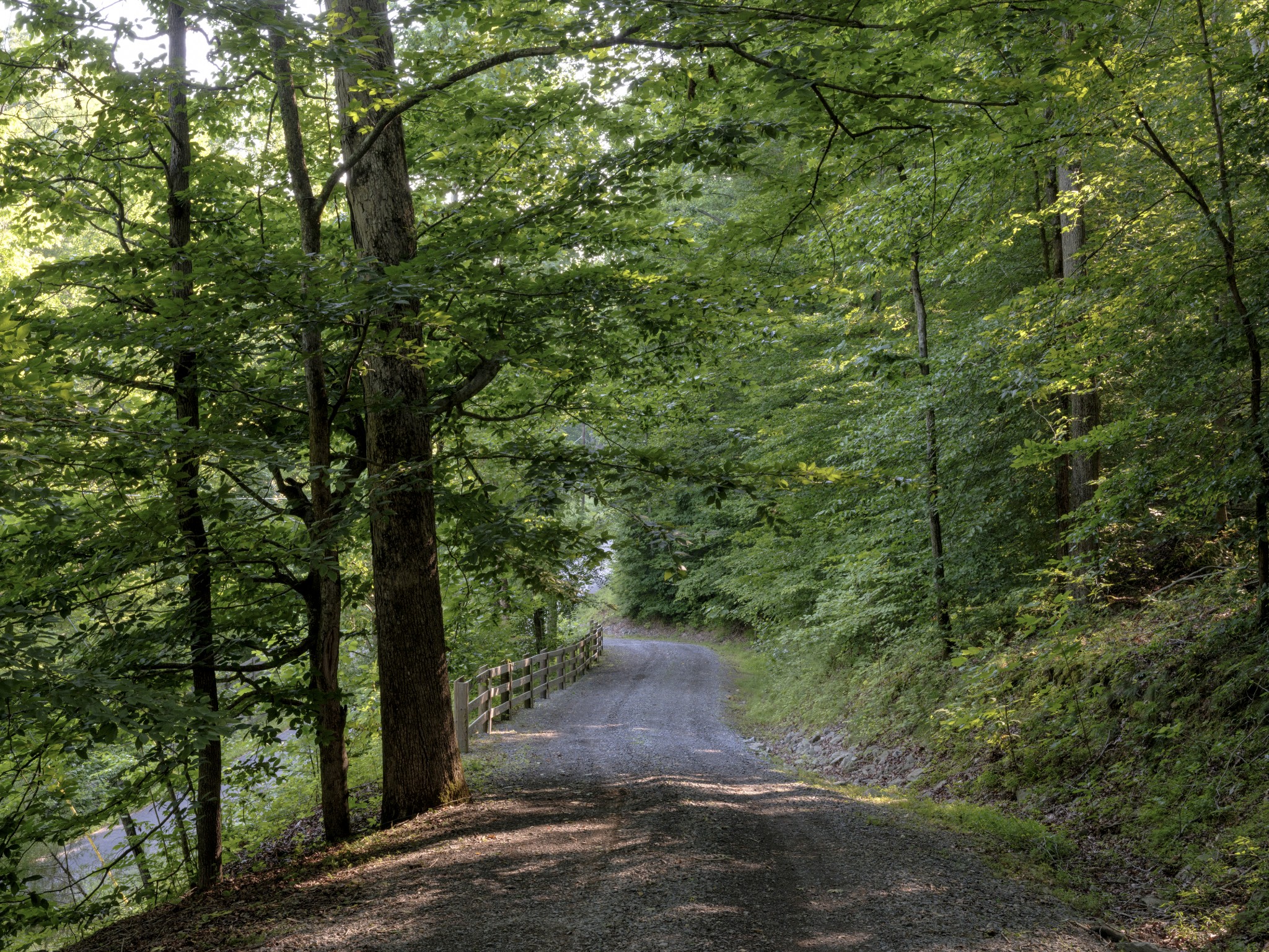 7725 Caney Fork Road Fairview, TN 37062 - Photo 50 of 59