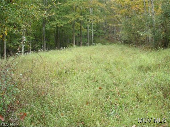 0 Red Lick Road Walkersville, WV 26447 - Photo 1 of 7 Gallery Image 1