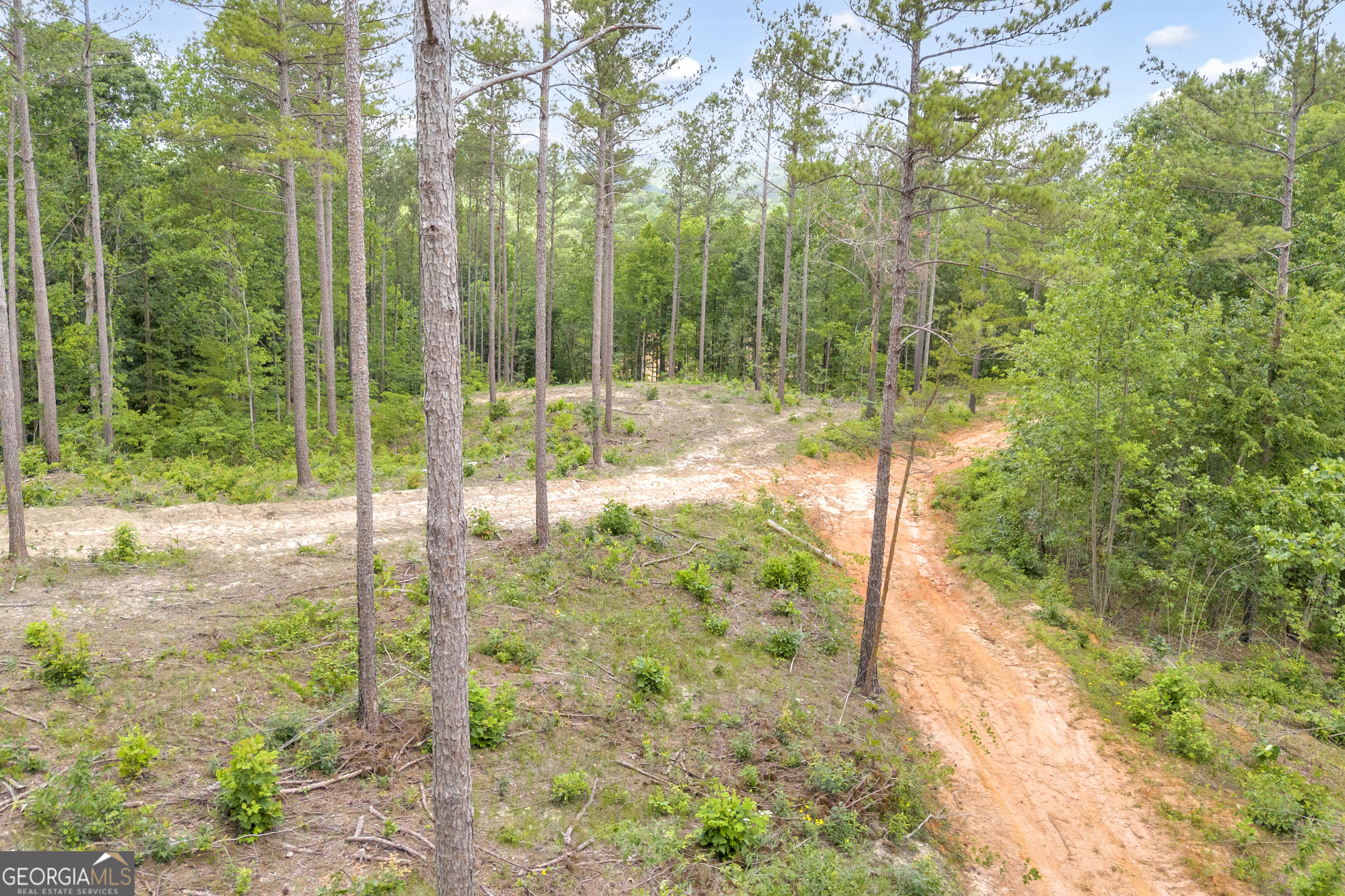0 Mt Sinai Road, Unit LOT 1 Lula, GA 30554 - Photo 28 of 67