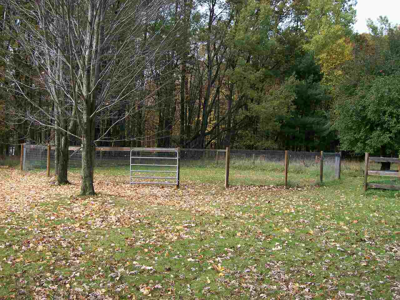 2149 Peterson Road Prescott, MI 48756 - Photo 18 of 19 1826075-17.JPG