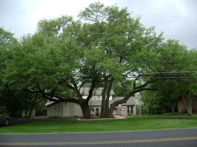10308 D-K Ranch Road Austin, TX 78759 - Photo 1 of 1