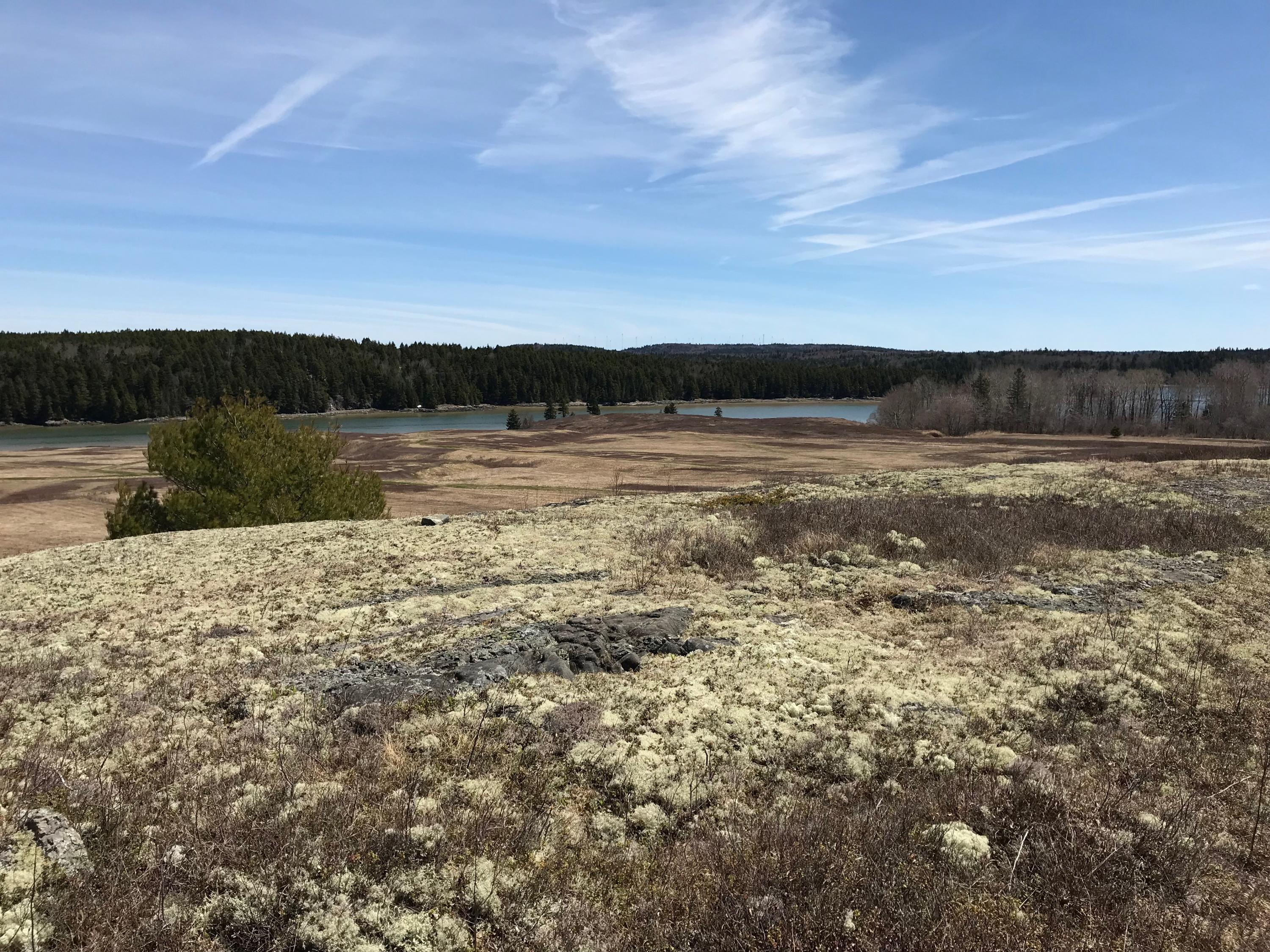 180 West Kennebec Road Machias, ME 04654 - Photo 9 of 48 IMG_3466