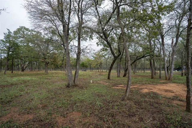 a view of outdoor space with trees