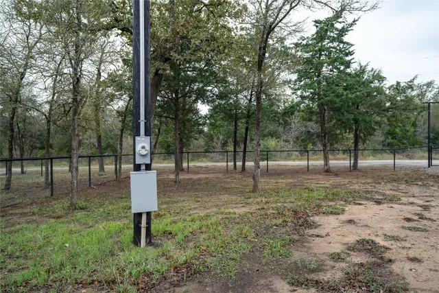 a view of a park with a tree