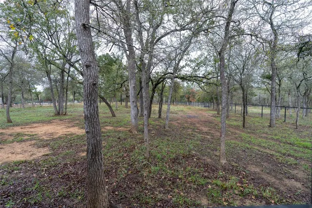 a view of a forest with trees