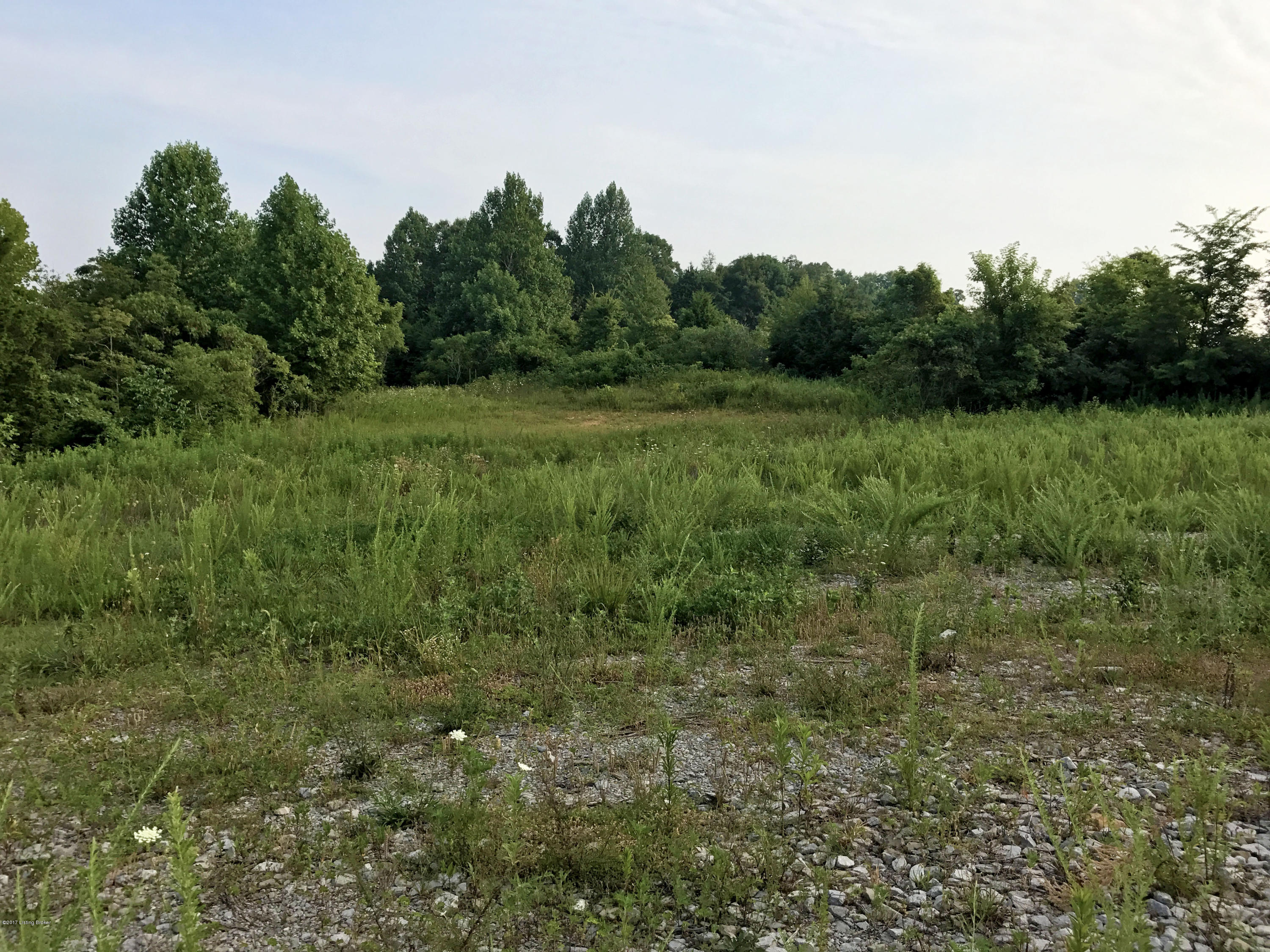 289 Hooper Barton Road Leitchfield, KY 42754 - Photo 24 of 29 3h