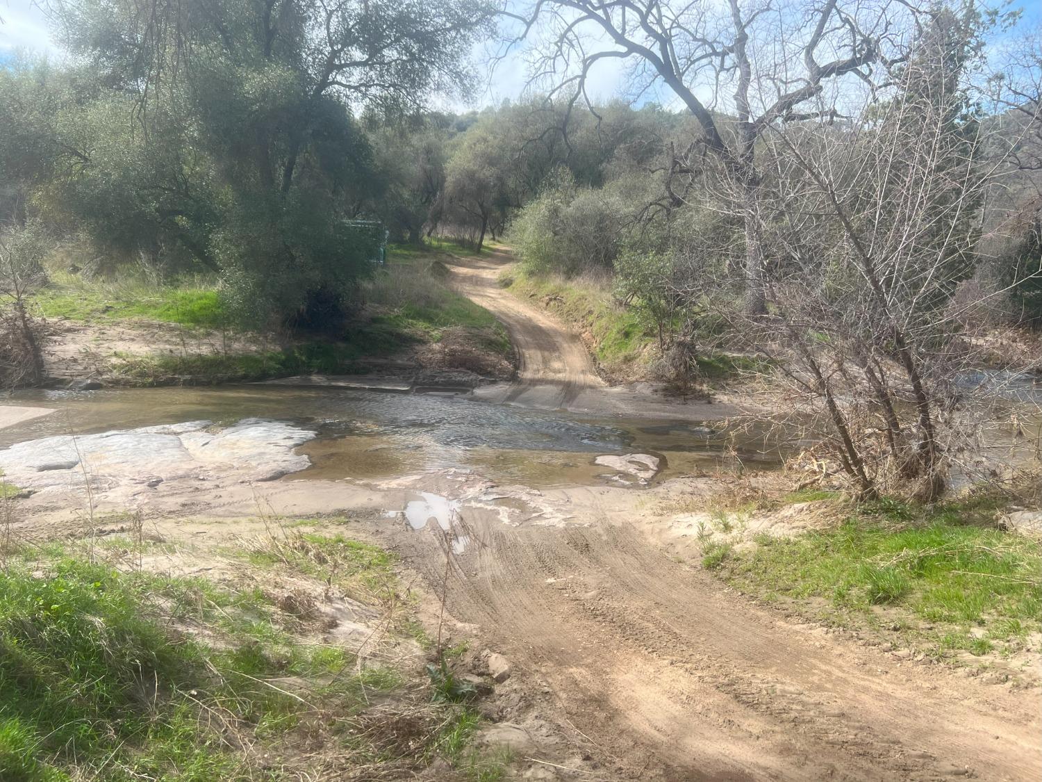 140040 Vincent Fire Road Tollhouse, CA 93667 - Photo 14 of 30 a view of a yard with a tree