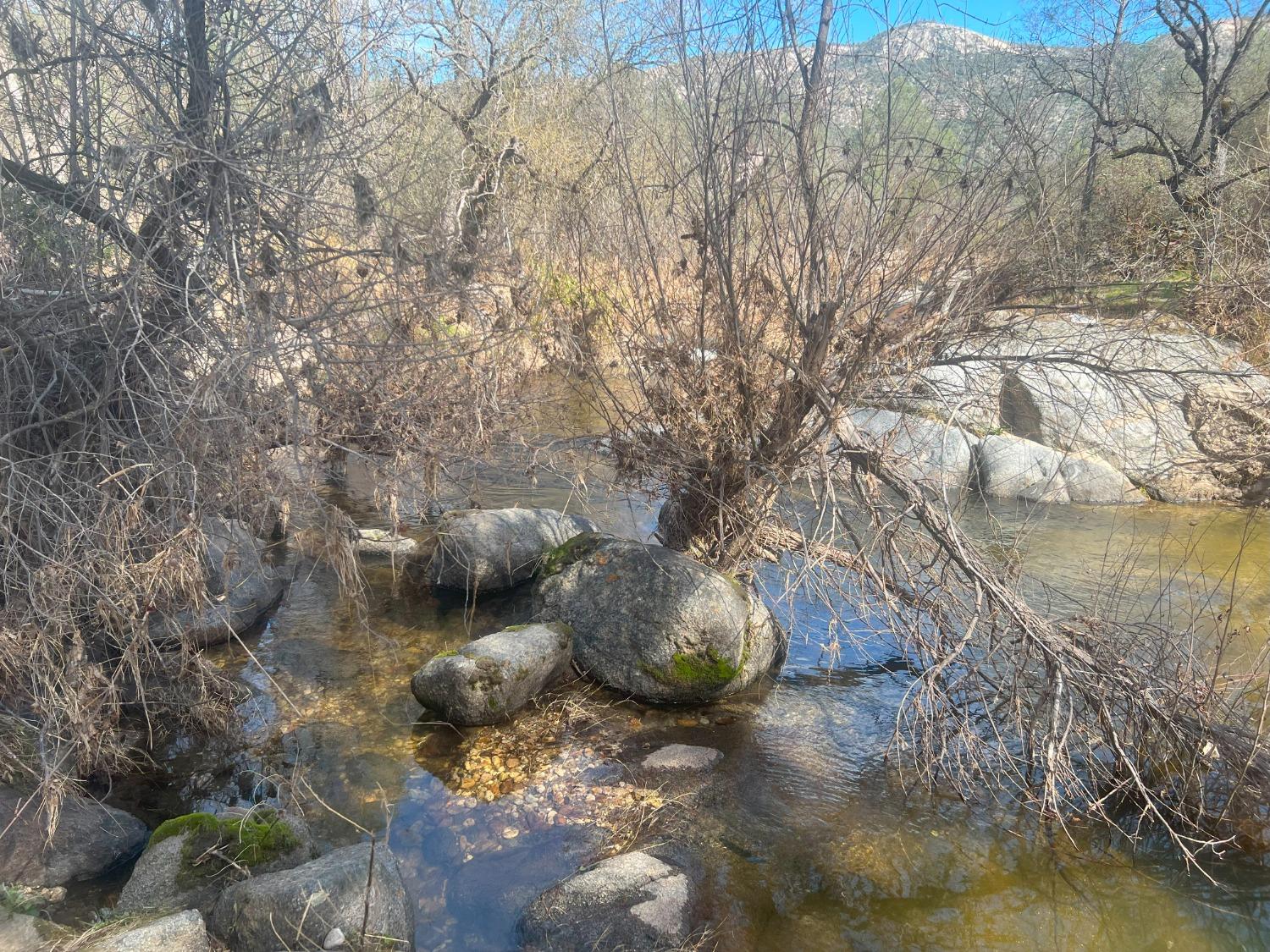 140040 Vincent Fire Road Tollhouse, CA 93667 - Photo 3 of 30 a picture of tree
