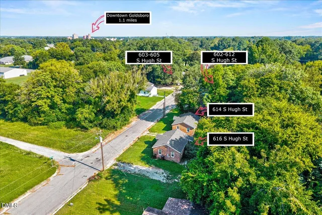 a green field with bunch of plants in it