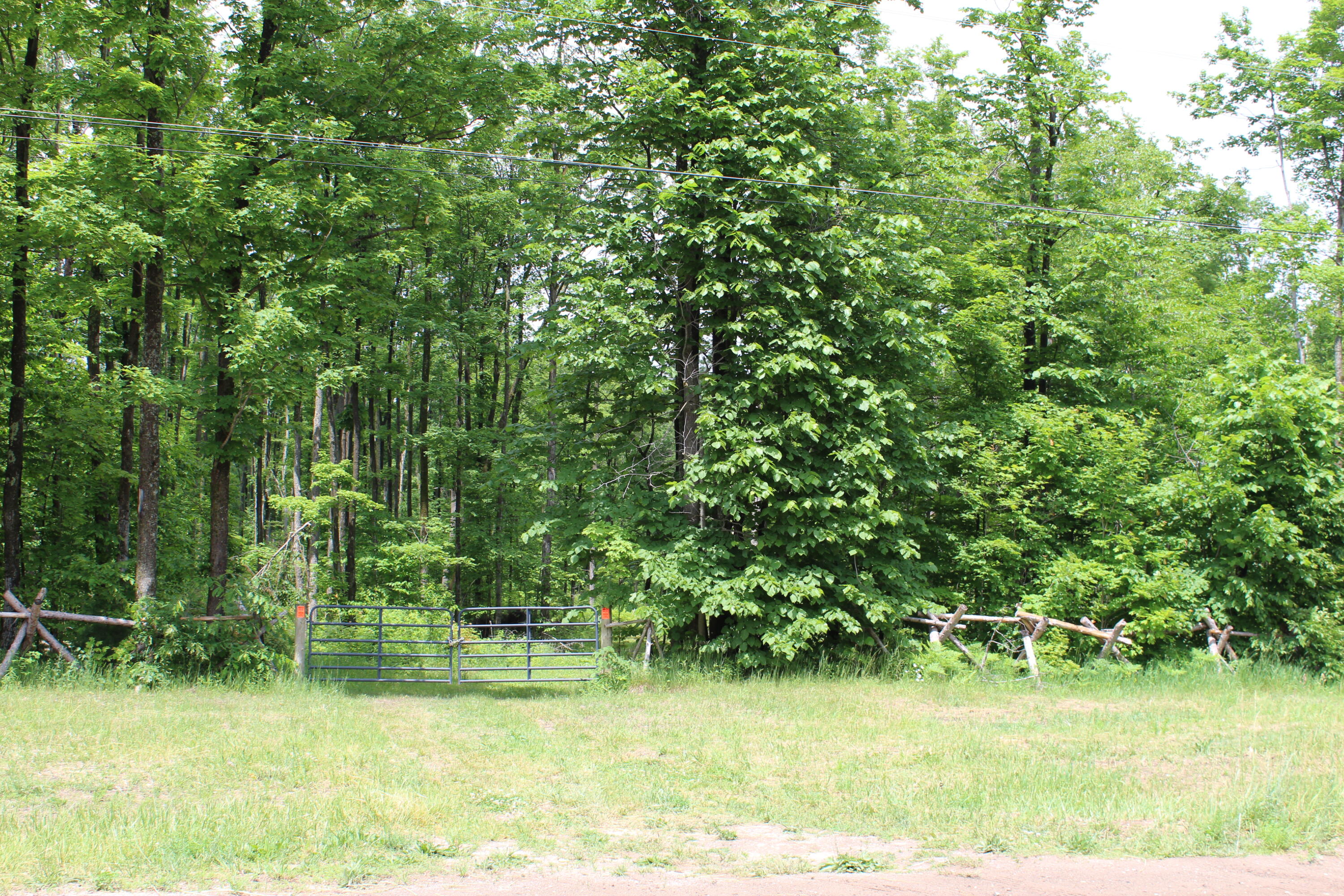 0 Soderquist Road Mancelona, MI 49659 - Photo 6 of 12 IMG_2426