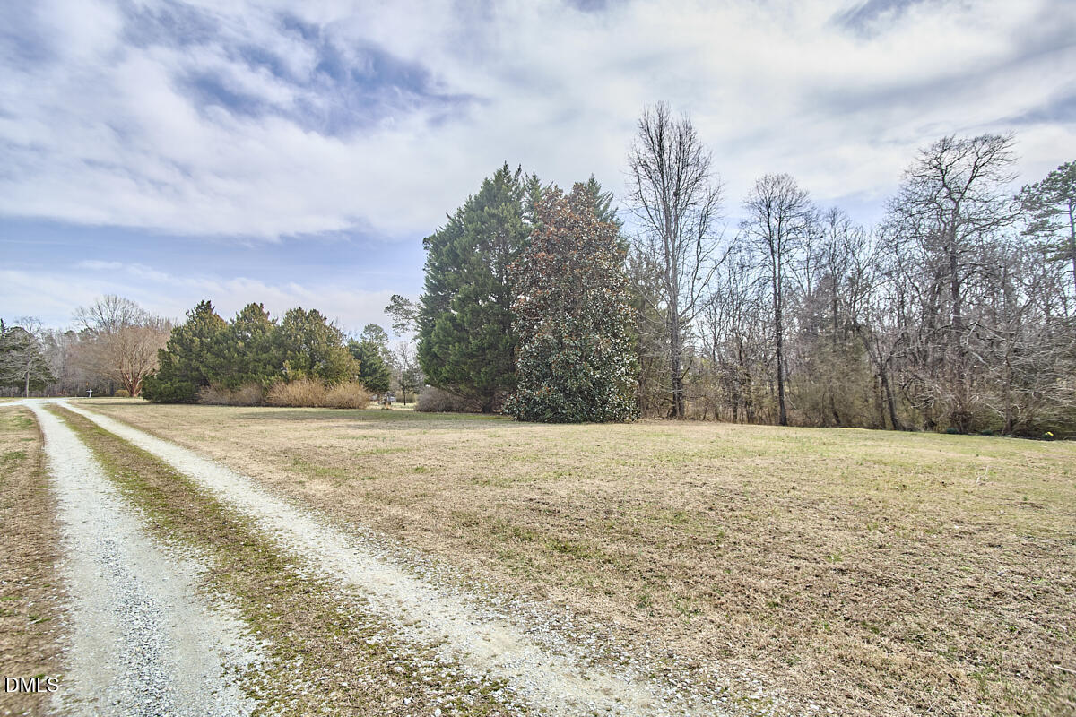 2405 Old Stone Road Hurdle Mills, NC 27541 - Photo 29 of 31 005