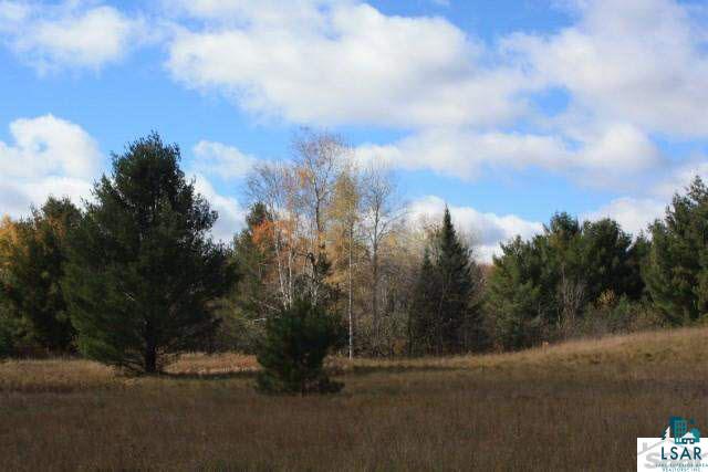 6310 South Degerman Road Lake Nebagamon, WI 54849 - Photo 12 of 15 Gallery Image 12
