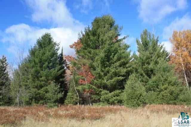 6310 South Degerman Road Lake Nebagamon, WI 54849 - Photo 14 of 15 Gallery Image 14
