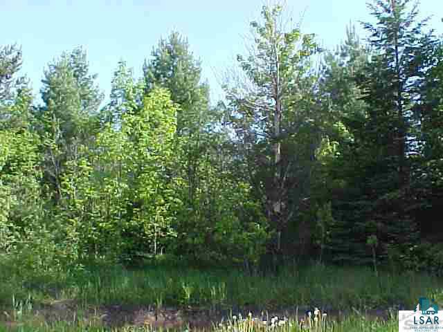 6310 South Degerman Road Lake Nebagamon, WI 54849 - Photo 15 of 15 Gallery Image 15
