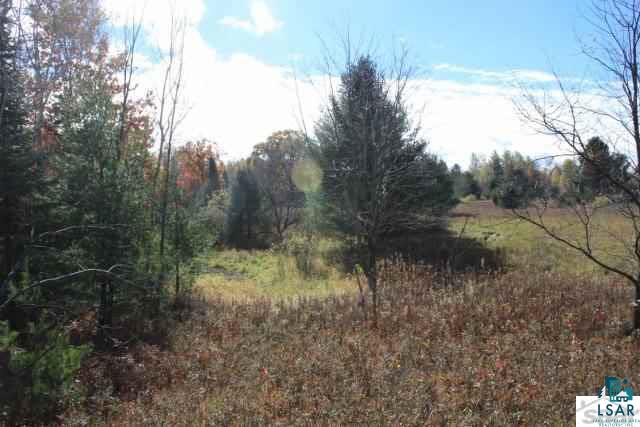 6310 South Degerman Road Lake Nebagamon, WI 54849 - Photo 4 of 15 Gallery Image 4