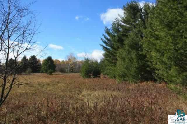 6310 South Degerman Road Lake Nebagamon, WI 54849 - Photo 5 of 15 Gallery Image 5