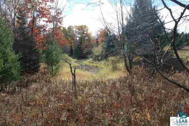 6310 South Degerman Road Lake Nebagamon, WI 54849 - Photo 6 of 15 Gallery Image 6