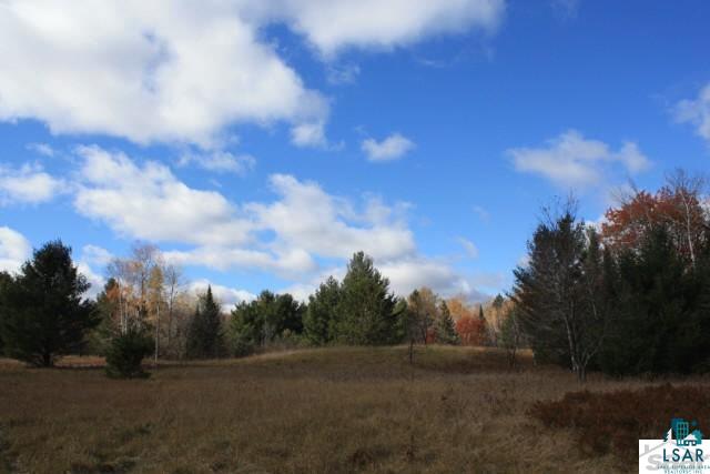 6310 South Degerman Road Lake Nebagamon, WI 54849 - Photo 10 of 15 Gallery Image 10