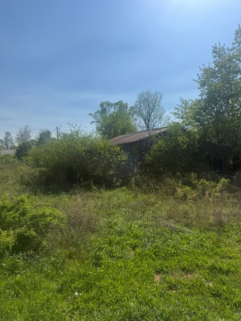 185 Scott Orchard Road Taft, TN 38488 - Photo 17 of 18