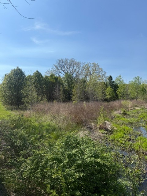 185 Scott Orchard Road Taft, TN 38488 - Photo 18 of 18