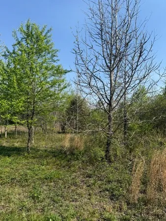 $90,000 | 185 Scott Orchard Road, Taft, TN 38488