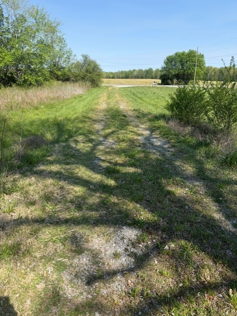 185 Scott Orchard Road Taft, TN 38488 - Photo 5 of 18