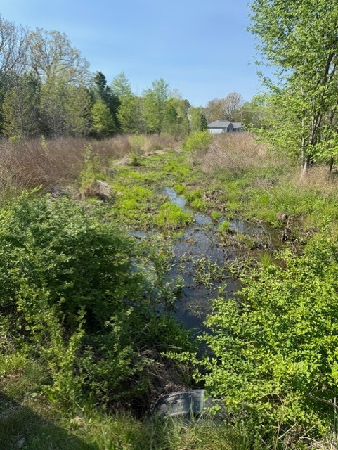 185 Scott Orchard Road Taft, TN 38488 - Photo 6 of 18