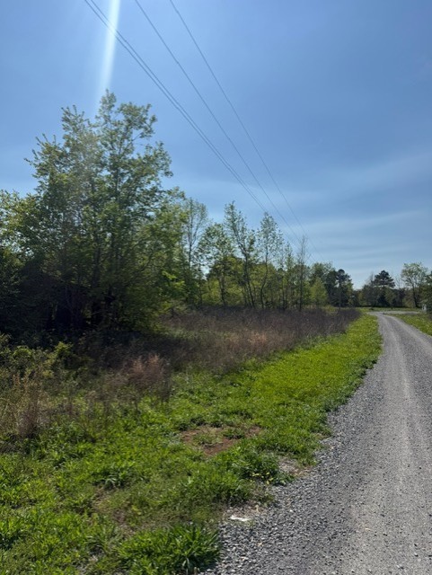 185 Scott Orchard Road Taft, TN 38488 - Photo 7 of 18