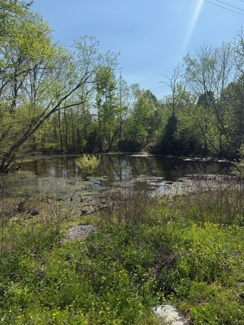 185 Scott Orchard Road Taft, TN 38488 - Photo 8 of 18