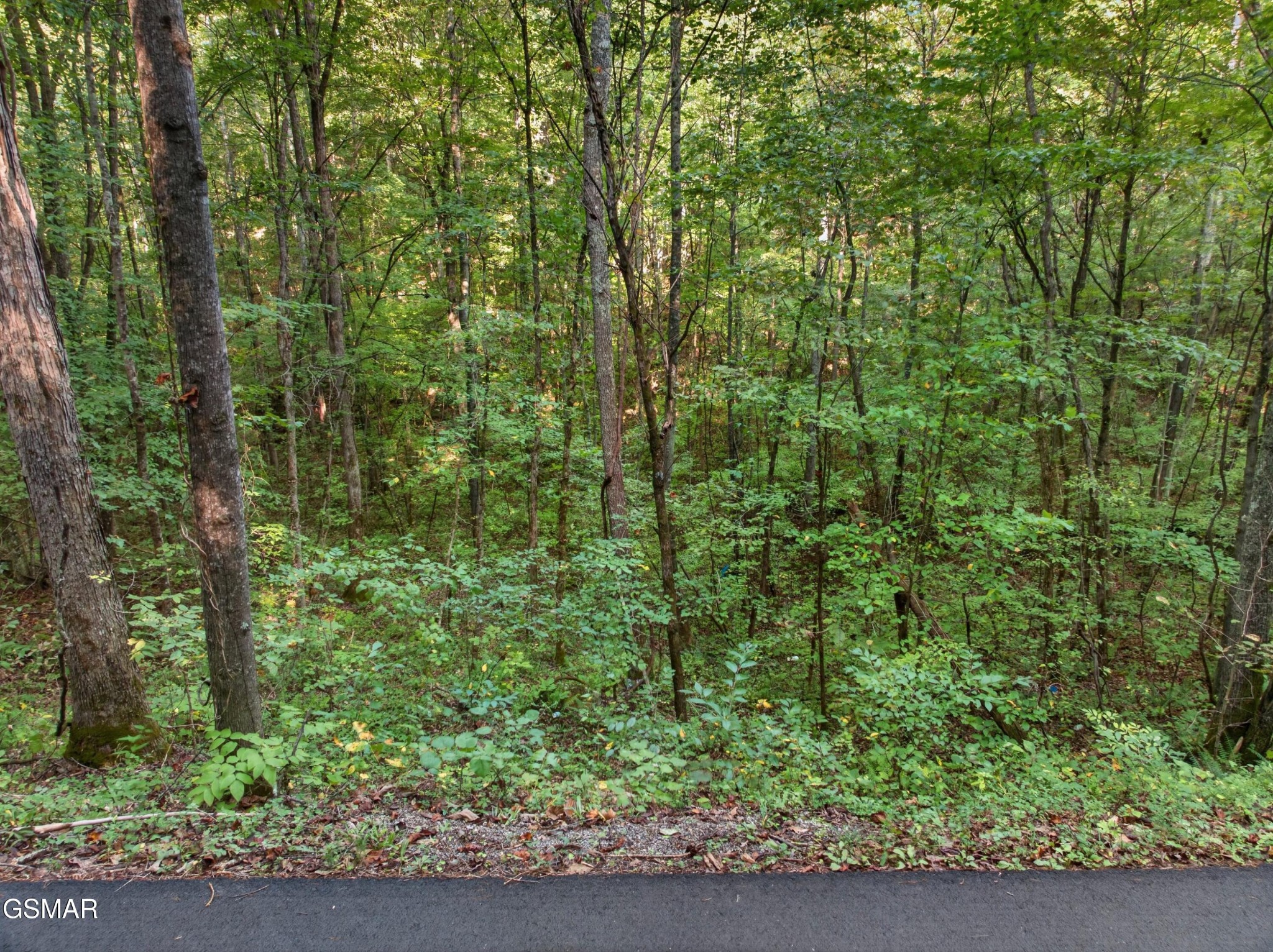 1314 Speedwell Chuch Road Bulls Gap, TN 37711 - Photo 9 of 19 Gallery Image 9