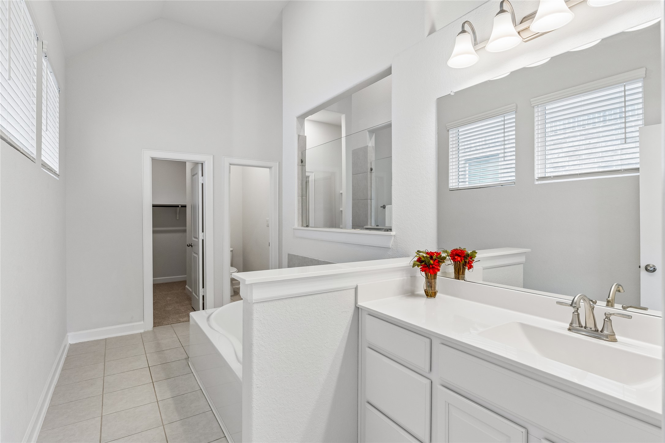 298 Wild Pecan Loop Buda, TX 78610 - Photo 22 of 40 a bathroom with a sink and a mirror