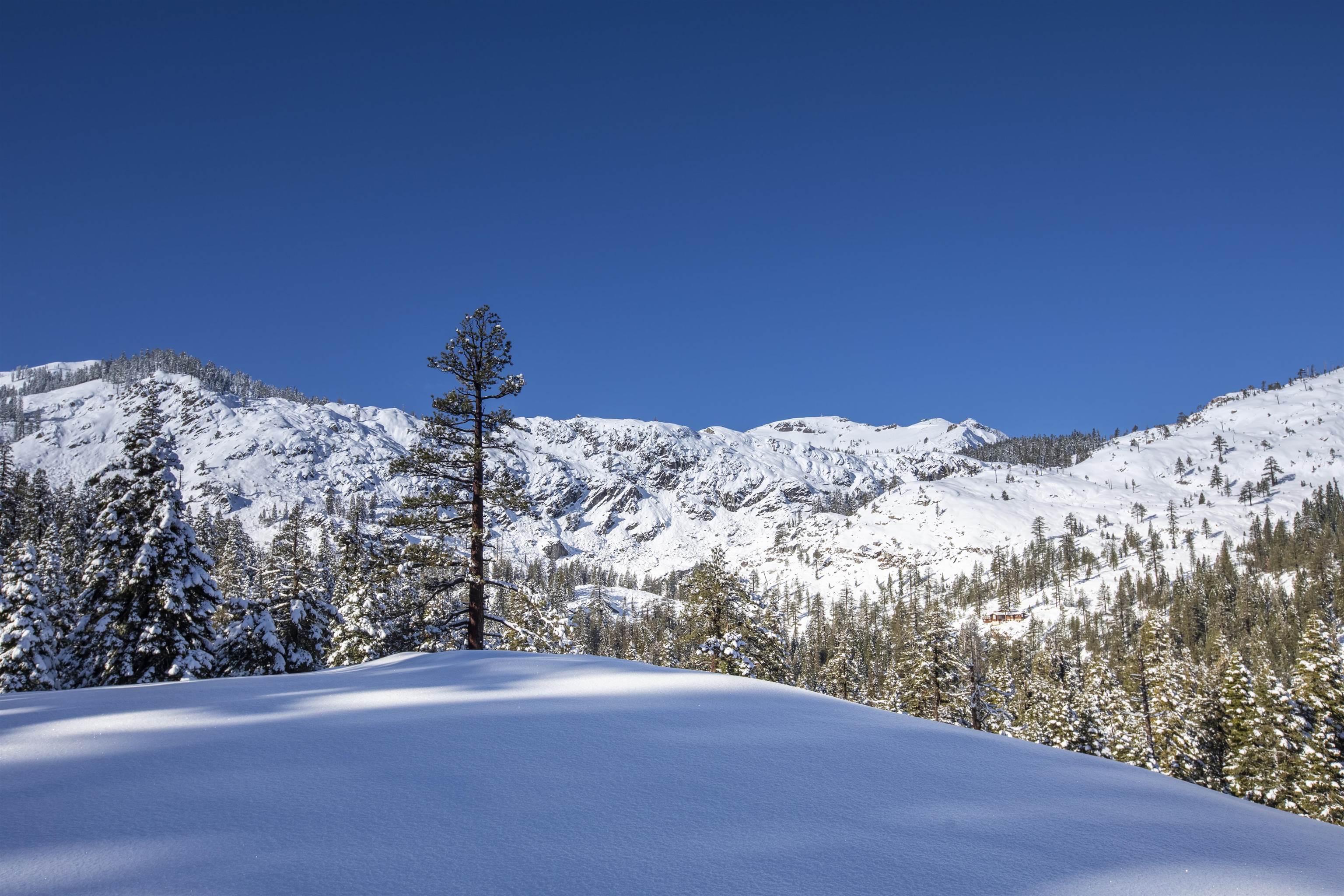 Xxxxx Alpine Meadows Road Olympic Valley, CA 96146 - Photo 11 of 20 a view of a snow in the middle of a mountain