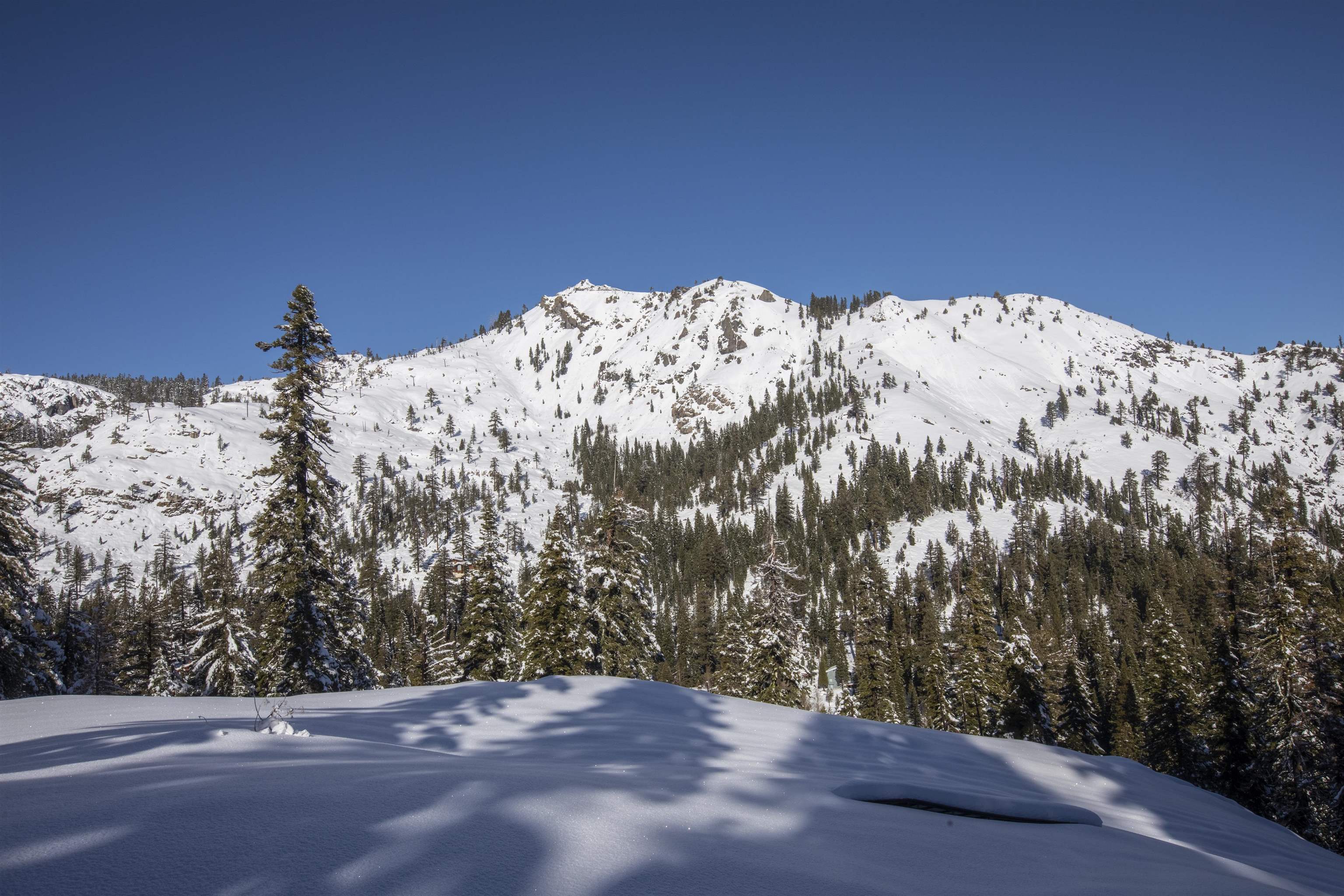 Xxxxx Alpine Meadows Road Olympic Valley, CA 96146 - Photo 14 of 20 a view of a snow in the middle of a snow