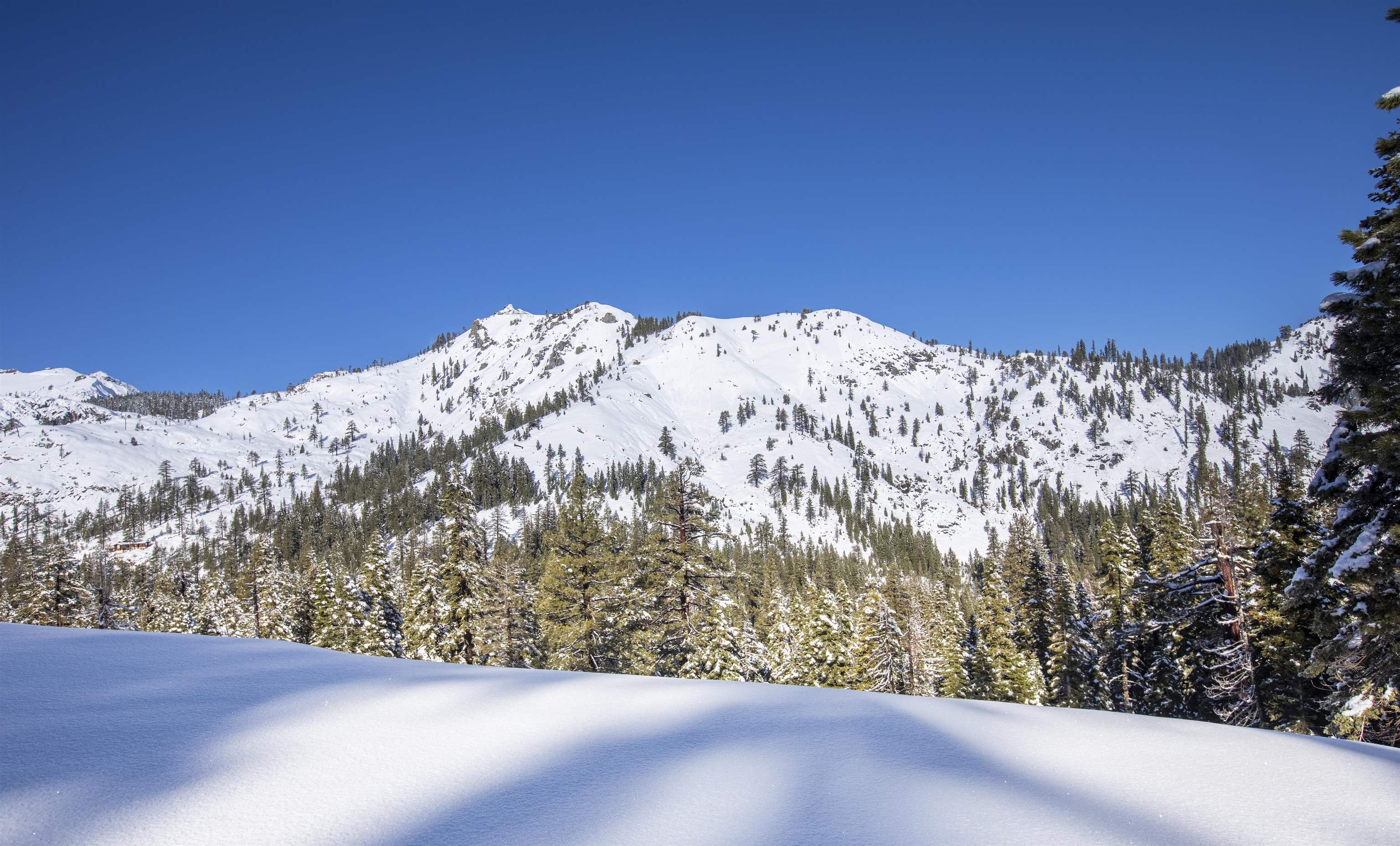 Xxxxx Alpine Meadows Road Olympic Valley, CA 96146 - Photo 16 of 20 a view of a snow in a yard