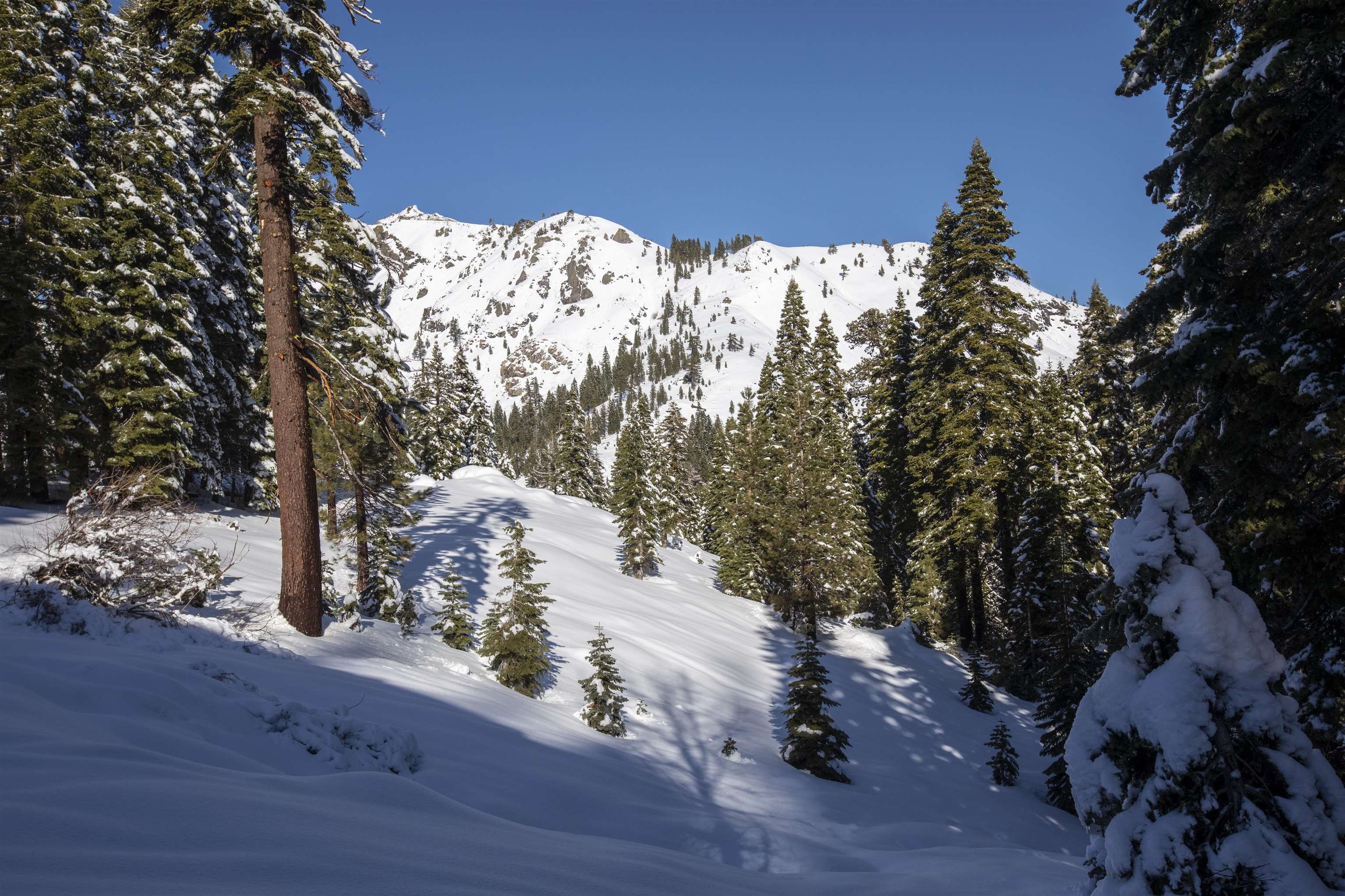 Xxxxx Alpine Meadows Road Olympic Valley, CA 96146 - Photo 17 of 20 a view of a outdoor space with wooden floor