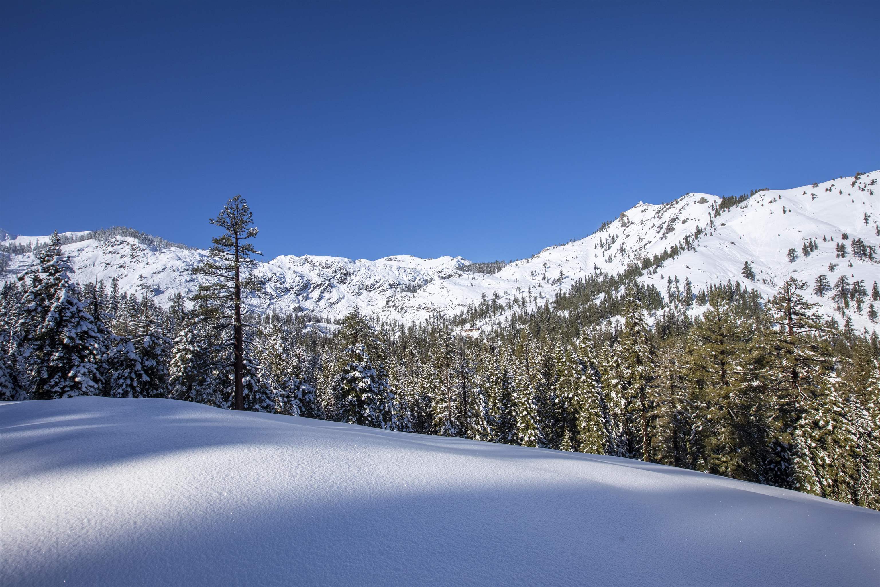 Xxxxx Alpine Meadows Road Olympic Valley, CA 96146 - Photo 18 of 20 a view of a snow in the middle of a snow